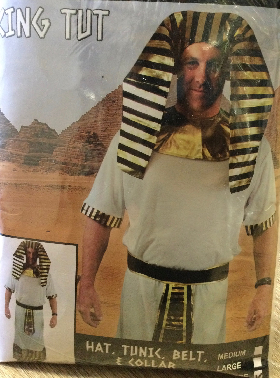 Egyptian King Tut