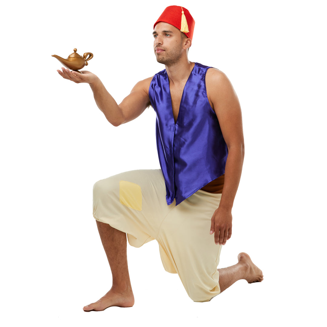 Aladdin Deluxe Costume