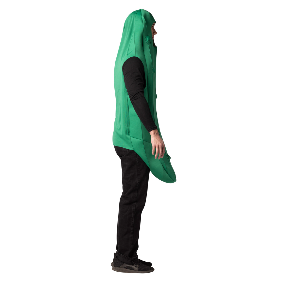 Pickle Costume